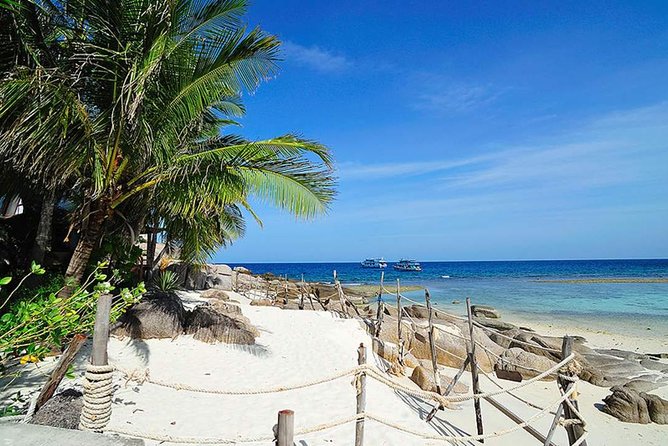 Speedboat Tour to Koh Tao and Koh Nang Yuan, With Snorkeling and Lunch - Tour Itinerary