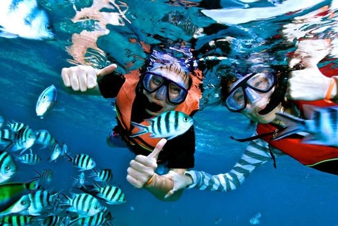 Speedboat Tour to Koh Tao and Koh Nang Yuan, With Snorkeling and Lunch - Snorkeling Locations