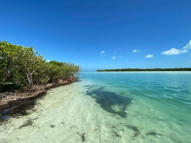 Speedboat Transfer to Holbox Island or Chiquila Port - Crossing Expectations