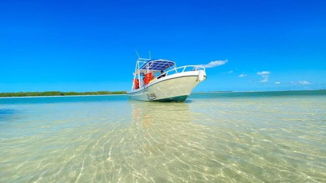 Speedboat Transfer to Holbox Island - Meeting Point