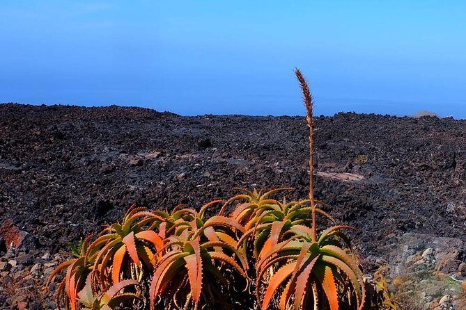 Speleology Tour in Cueva de Las Palomas in La Palma - Discovering the Cueva de Las Palomas: An Authentic Lava Tube Adventure in La Palma