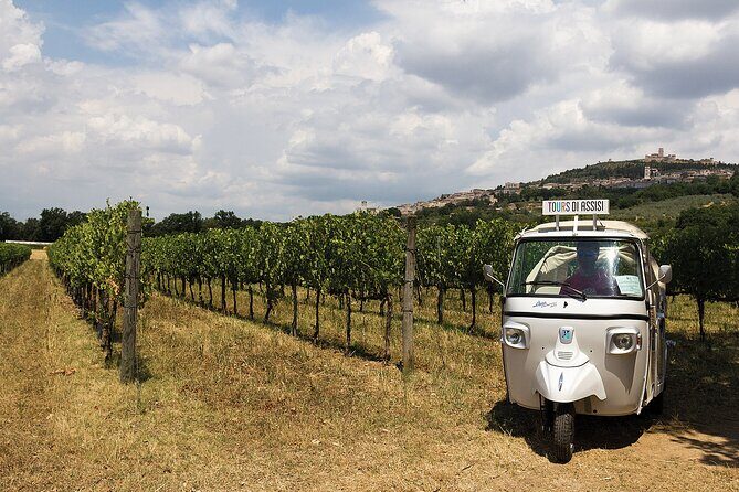Spello wine tour by tuk tuk in Italian - An in-Depth Look at the Spello Tuk Tuk Tour