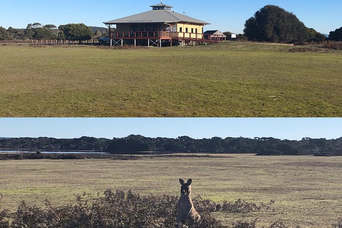 Spend a Day in One of Tasmanias Best Wildlife National Parks - Taste Tasmania: Enjoy a Delicious Lunch With Local Products