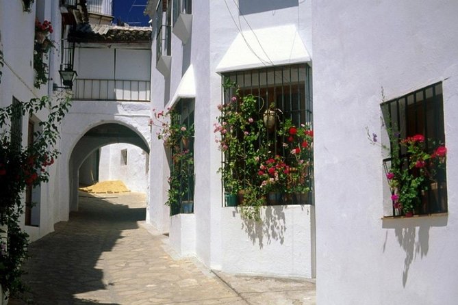 Spend a Day in the White Villages From Cadiz - Inclusions and Amenities