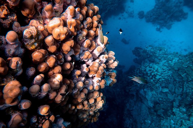 Spend One Day On The Pirates Boat At Hurghada - How to Book Your Pirate Boat Experience