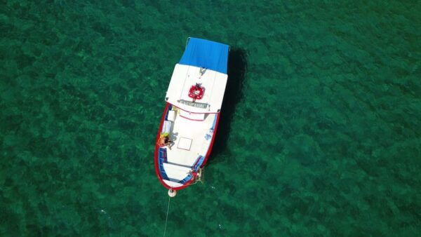 Sperlonga: Boat Cruise to the Blue Grotto With Swimming - Customer Feedback