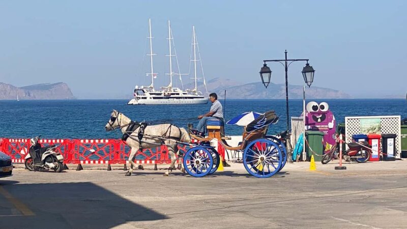 Spetses Island: Full Day Trip from Athens with Swimming - Discovering Spetses Town