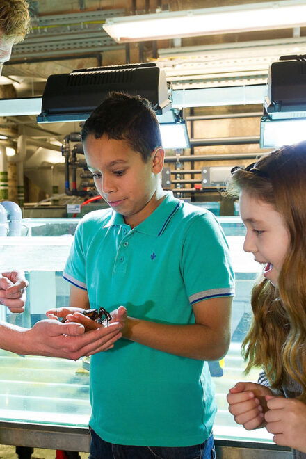 Speyer: SEA LIFE Behind the Scenes Tour - Tour Details and Logistics