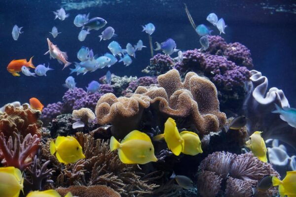 Speyer: SEA LIFE Behind the Scenes Tour - Frequently Asked Questions