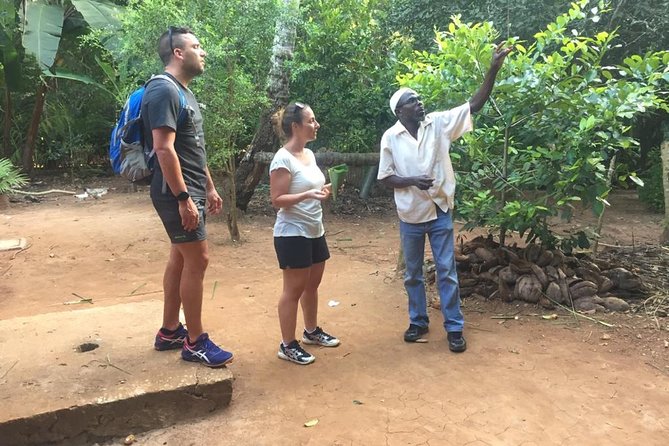 Spice Farm Tour and Jozani Forest - Private Trip - Pickup Information