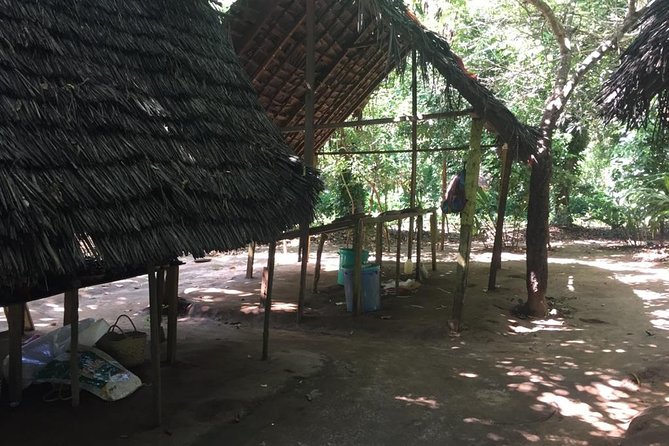 Spice Farm Tour and Jozani Forest - Private Trip - Availability and Cancellation