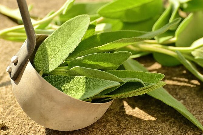 Spice Tour And Home-Cooked Goan Lunch At An Organic Plantation - Pickup and Start Time