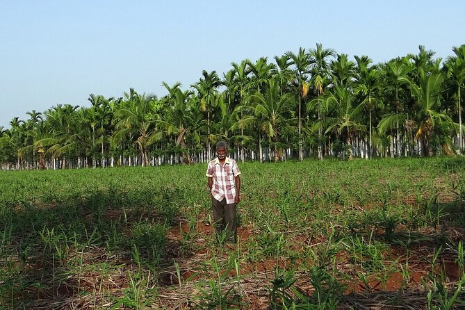 Spice Tour And Home-Cooked Goan Lunch At An Organic Plantation - Additional Details