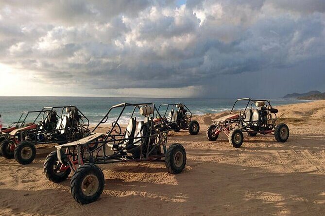 Spider Dune Buggy Adventure in Los Cabos - Authentic Insights from Reviewers