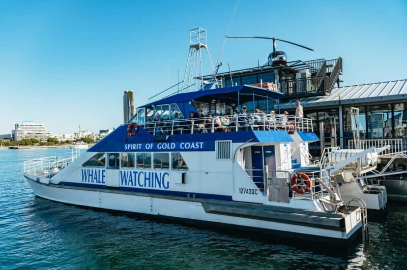 Spirit of Gold Coast 2.5-Hour Whale Watching Tour - Who Is This Tour Best For?