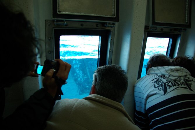 Spirit of Hervey Bay Whale Watching Cruise - Reserve Now & Pay Later