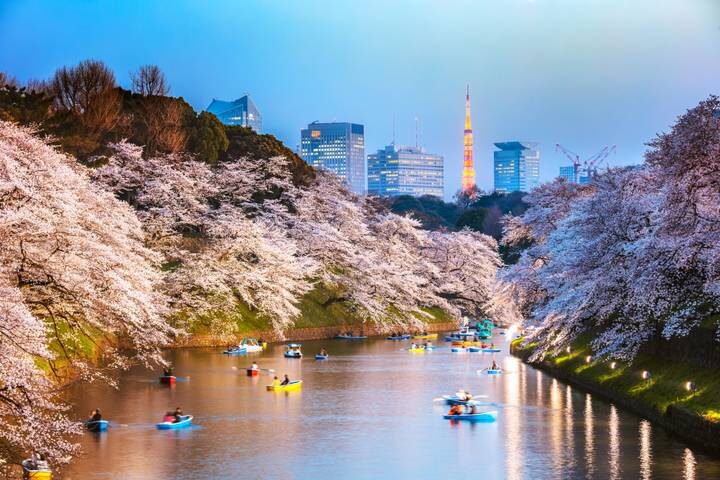 Spirit of Japan 7-Day Tour by TruTravels - Odawara and Hakone trade city streets for mountain views
