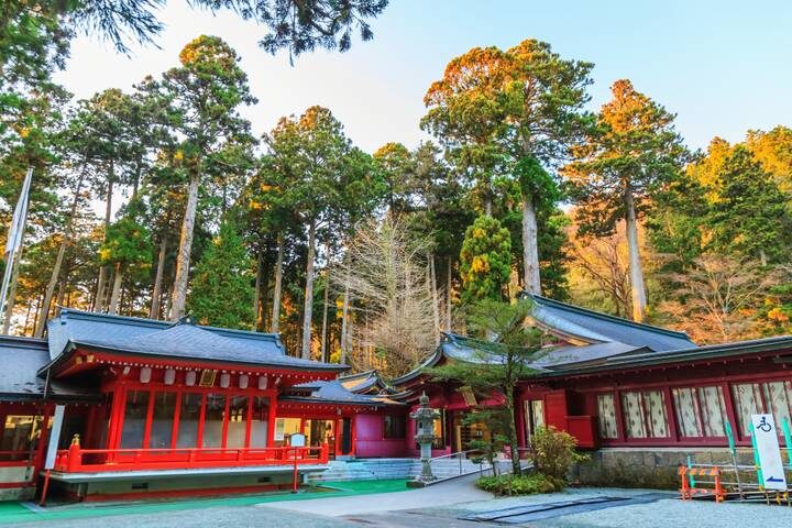 Spirit of Japan 7-Day Tour by TruTravels - Arashiyama and Kinkaku-ji fill a packed Kyoto day