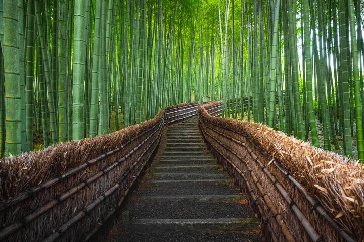 Spirit of Japan 7-Day Tour by TruTravels - The final Kyoto day is for onward plans