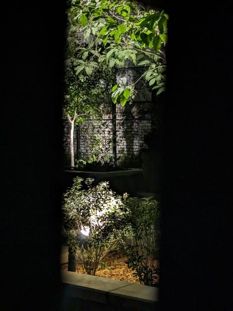 Spirit Xperience: Paranormal Walking Ghost Tour in Savannah - Good To Know