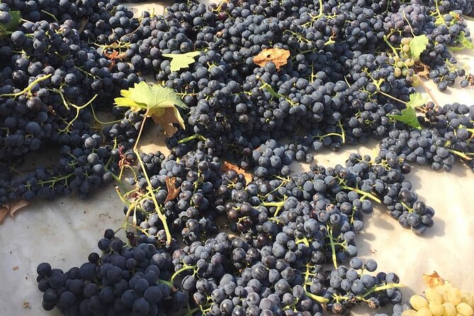 Spiritual Journey Around Cappadocia - Important Reminders