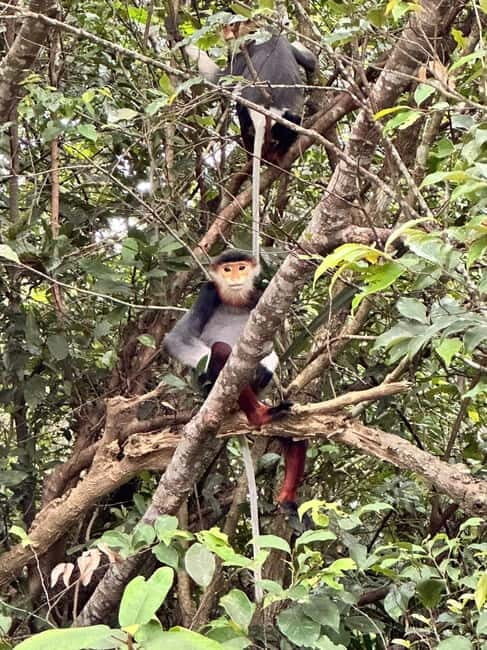 Spiritual Journey in Da Nang: Linh Ung & Marble Mountains - Good To Know