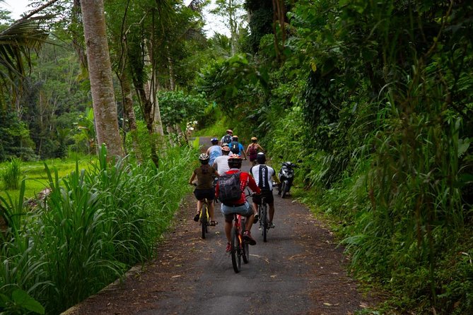 Spiritual Journey With Private Purification Ceremony, Local Priest - Ubud - Spiritual Ceremony Details