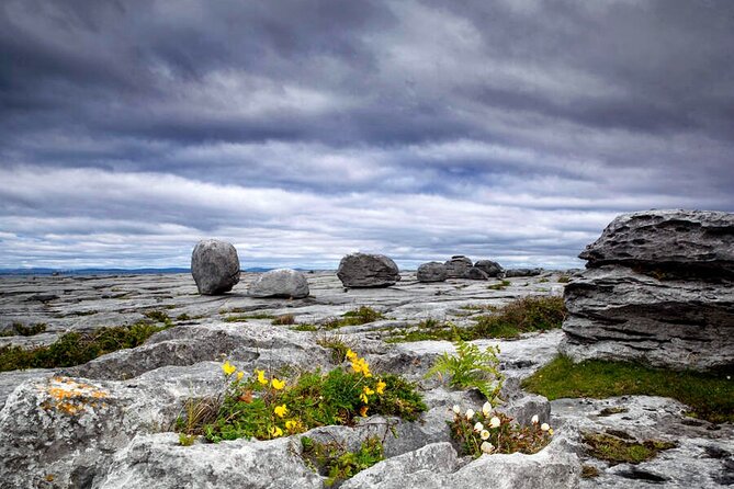 Spiritual Walk in the Burren. Clare. Private Guided. 4 Hours. - Pricing and Booking Details