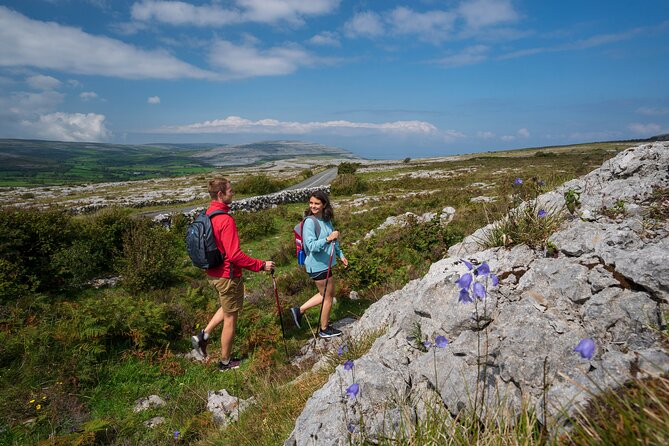Spiritual Walk in the Burren. Clare. Private Guided. 4 Hours. - What to Expect