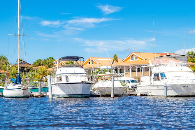 Splashy Iguana Tour in Curacao - Customer Reviews of the Iguana Tour Experience