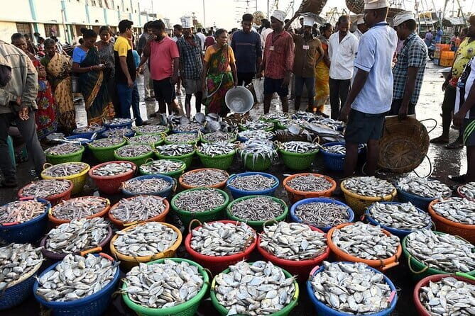 Splendid Chennai: Private Half Day Tour of Chennai - Good To Know