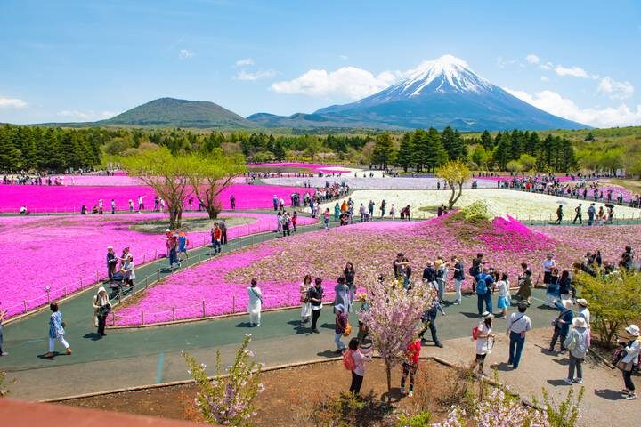 Splendours of Japan (Hiroshima, Takayama Festival) by Trafalgar - 13-Day Tour - The route trades free time for broad coverage