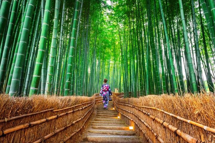 Splendours of Japan (Hiroshima, Takayama Festival) by Trafalgar - 13-Day Tour - Miyajima and Hiroshima’s difficult history