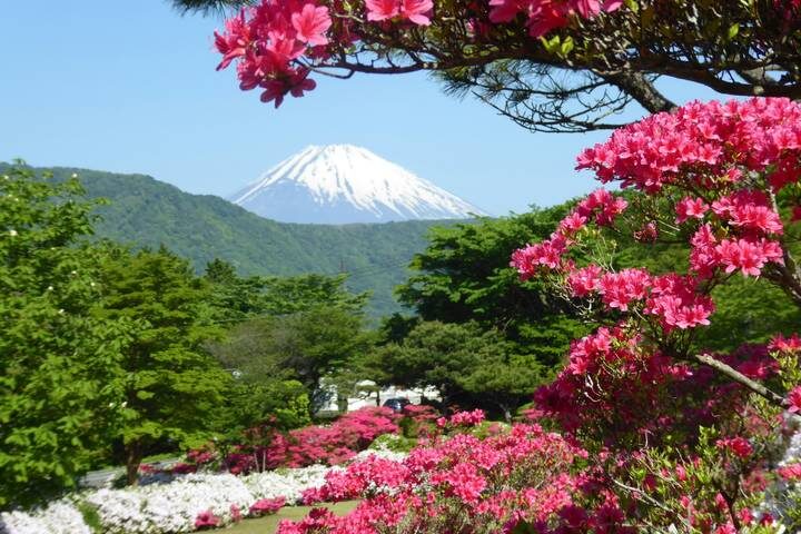 Splendours of Japan (Hiroshima, Takayama Festival) by Trafalgar - 13-Day Tour - Osaka closes the trip with food and a castle