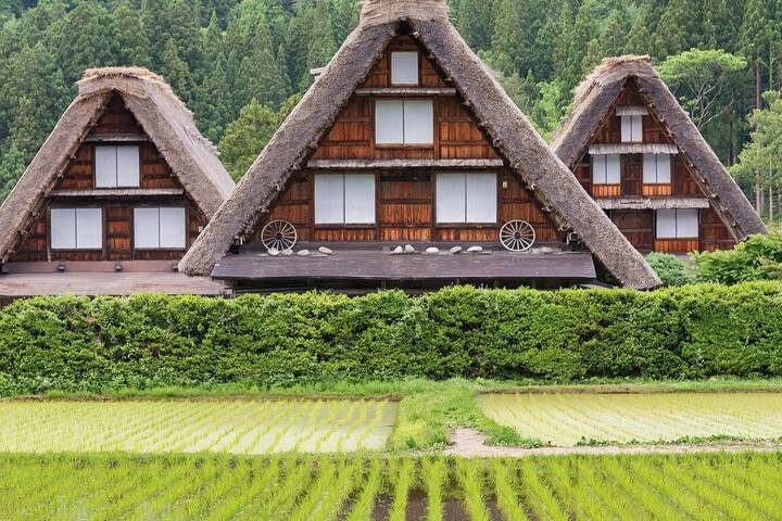 Splendours of Japan (Takayama, Takayama Festival) 9-Day Tour by Trafalgar - Tokyo’s temples, market street and skyline