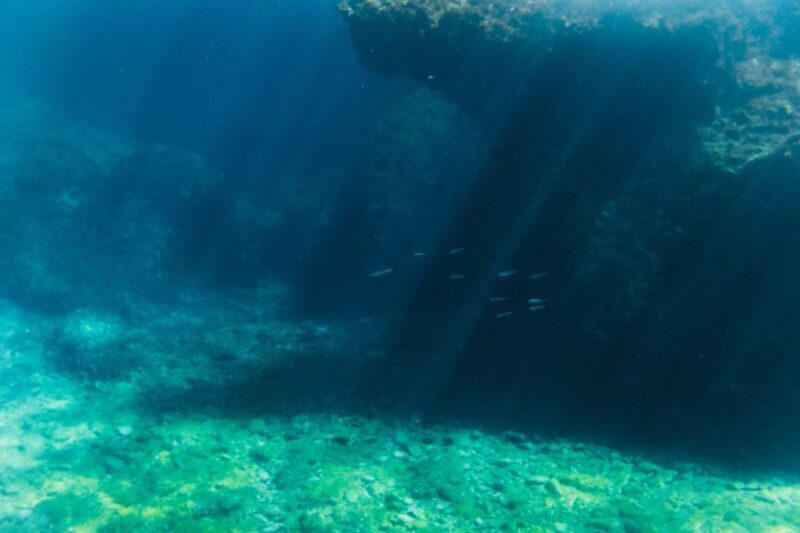 Split: 45-minute Semi-Submersible Submarine Trip - FAQ