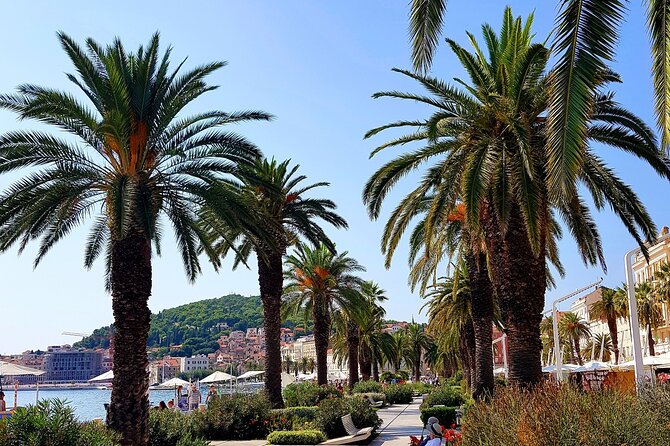 Split and Ston Private Tour - Additional Info