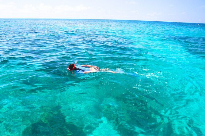 Split: Blue Lagoon & 3 Islands Speedboat Tour - Small group - The Itinerary in Detail