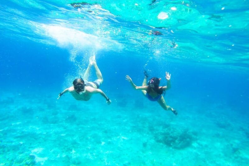 Split: Blue Lagoon, Hvar and 5 Islands Small Group Boat Tour - Pricing and Value