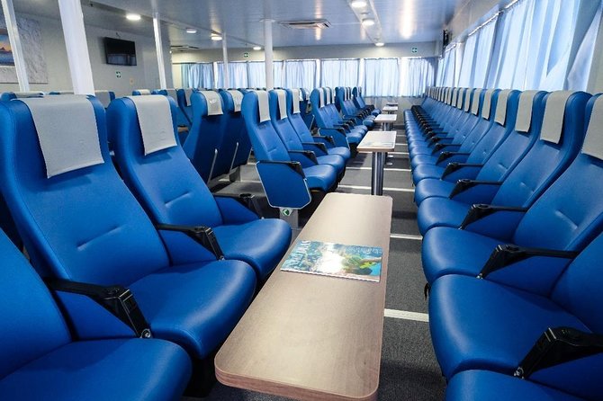 Split Cruise To Bimini & Free Transportation! - Cancellation Policy