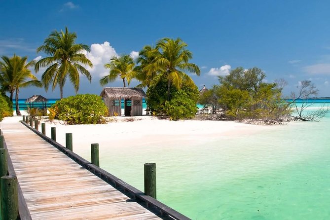 Split Cruise to Grand Bahamas - Customer Reviews and Ratings