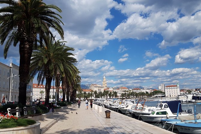 SPLIT-Emperors City for History Lovers/PRIVATE Walking Tour+Cellars Museum - Cancellation Policy