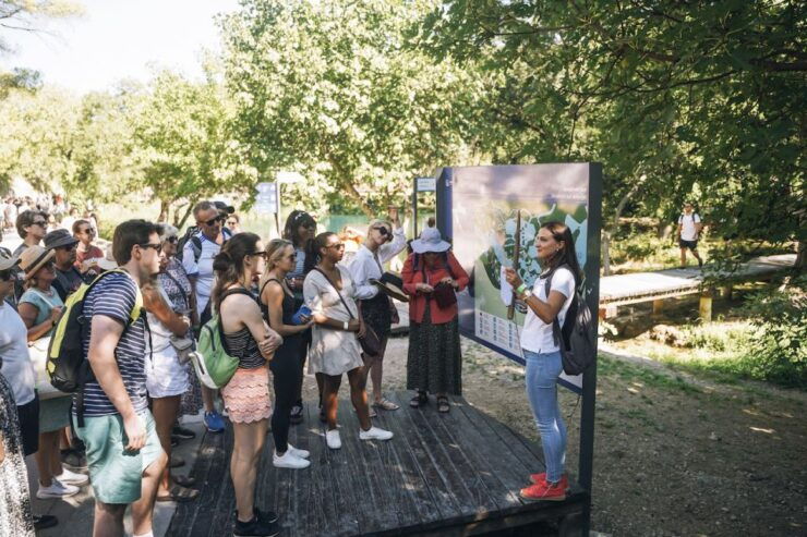 Split: Krka Waterfalls Tour, Boat Cruise, and Swimming - Activity Highlights