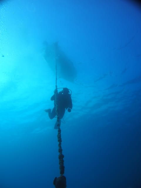 Split-Makarska-Brela Try SCUBA Dive - Good To Know