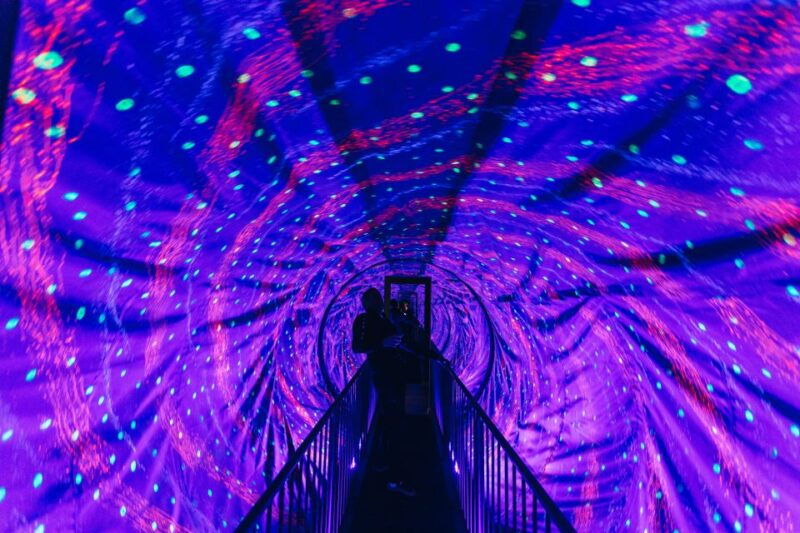 Split: Museum of Illusions Entrance Ticket - The Value of Your Ticket
