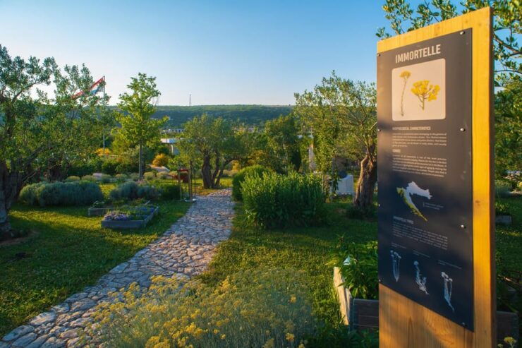 Split: Olive Museum Klis With Olive Oil Tasting - Highlights of the Olive Museum