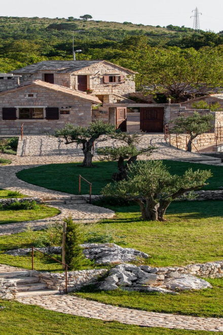 Split: Olive Museum Klis With Olive Oil Tasting - Guided Tour Details