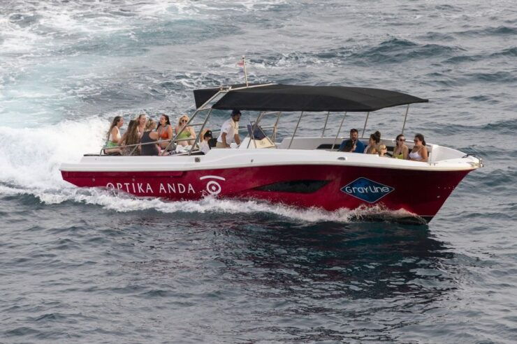 Split or Trogir: Blue Cave, Vis, and Hvar Speedboat Day Trip - Tour Highlights