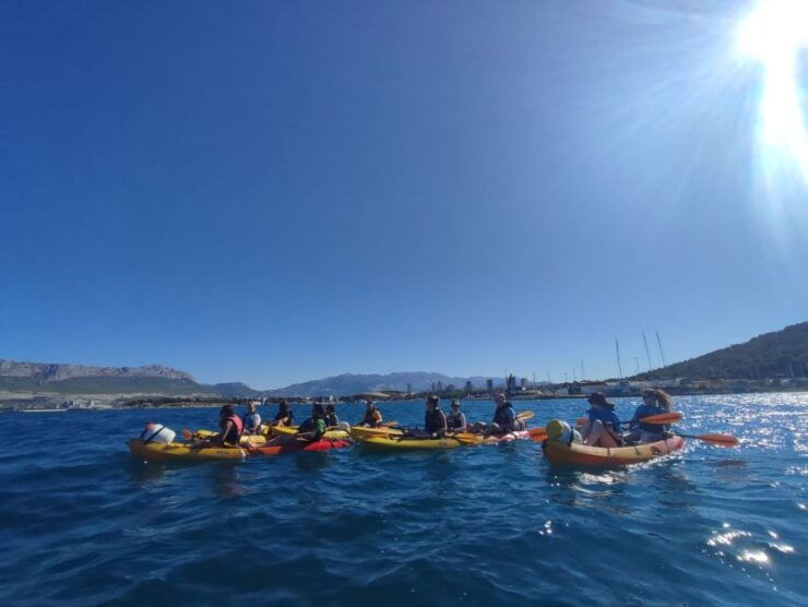 Split Sea Kayaking Morning Tour - Tour Overview