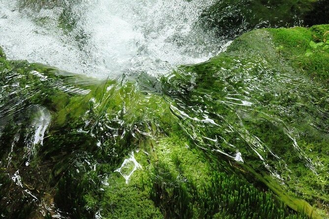 Split to Zagreb or Airport Zagreb via Plitvice Lakes for Singles or Couples - Special Offer